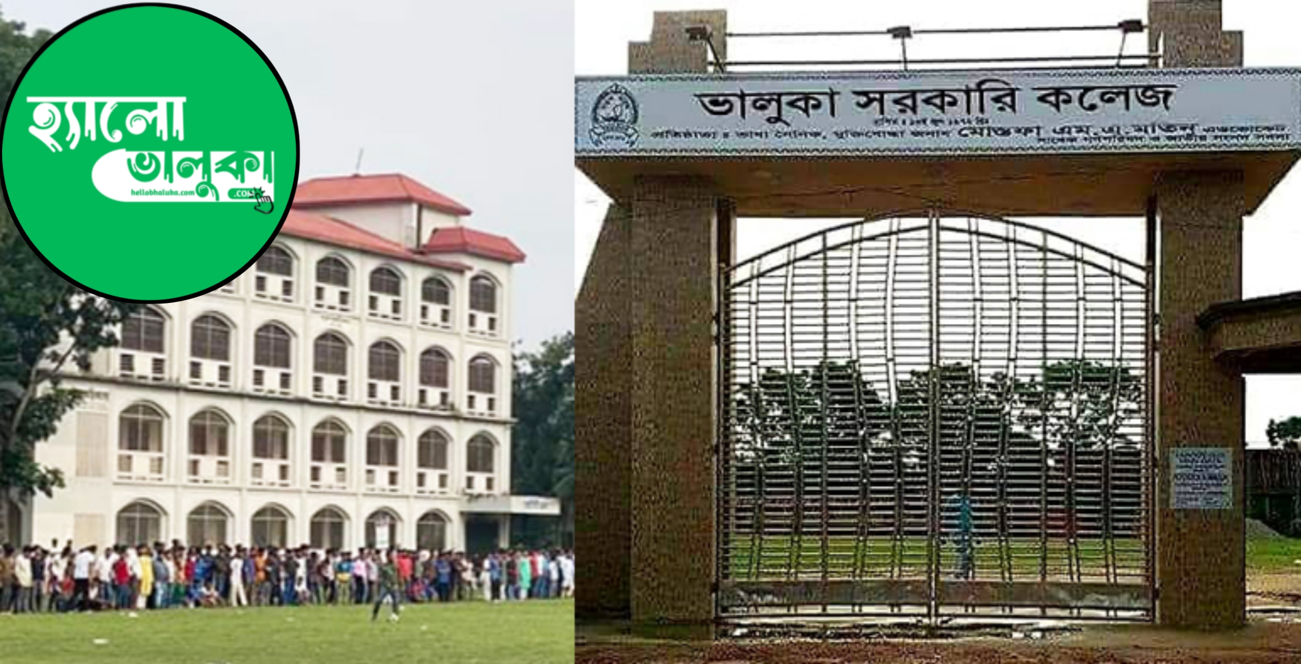 ভালুকা সরকারি কলেজ