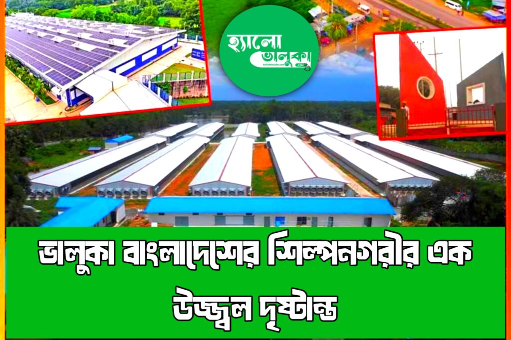 ভালুকা বাংলাদেশের শিল্পনগরীর এক উজ্জ্বল দৃষ্টান্ত